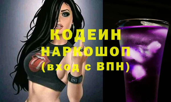 прущие грибы Лабытнанги