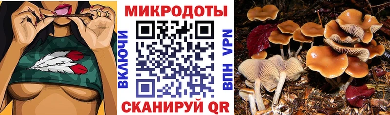 Псилоцибиновые грибы ЛСД как найти наркотики Черемхово