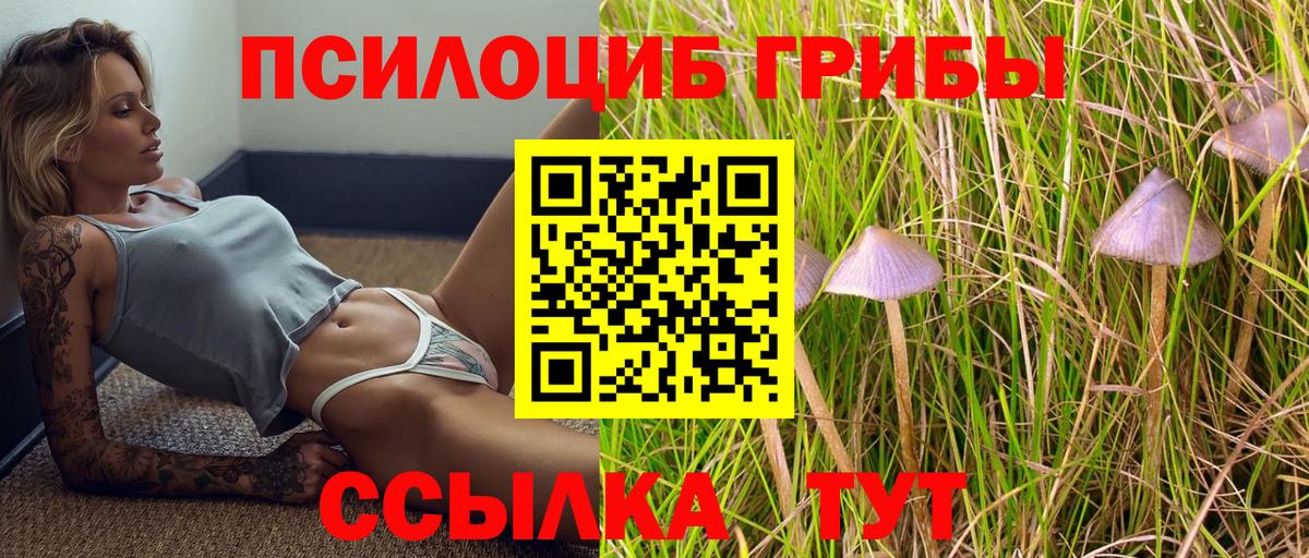 Черемхово  Галлюциногенные грибы мицелий  Вход с VPN 
