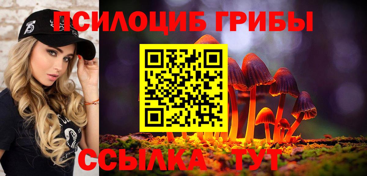 Псилоцибиновые грибы мицелий Черемхово